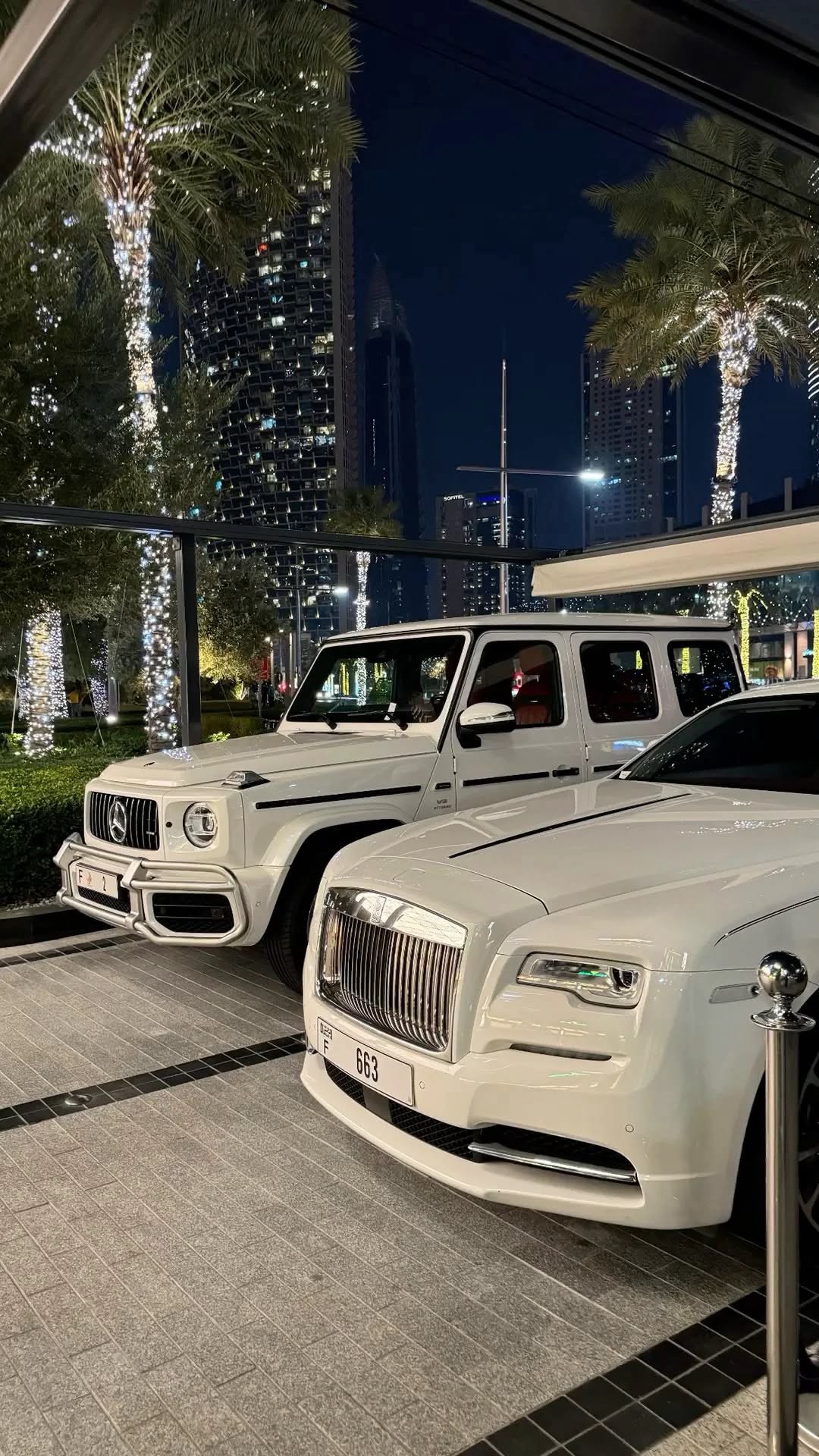 White luxury SUV and sedan parked under palm lights at night