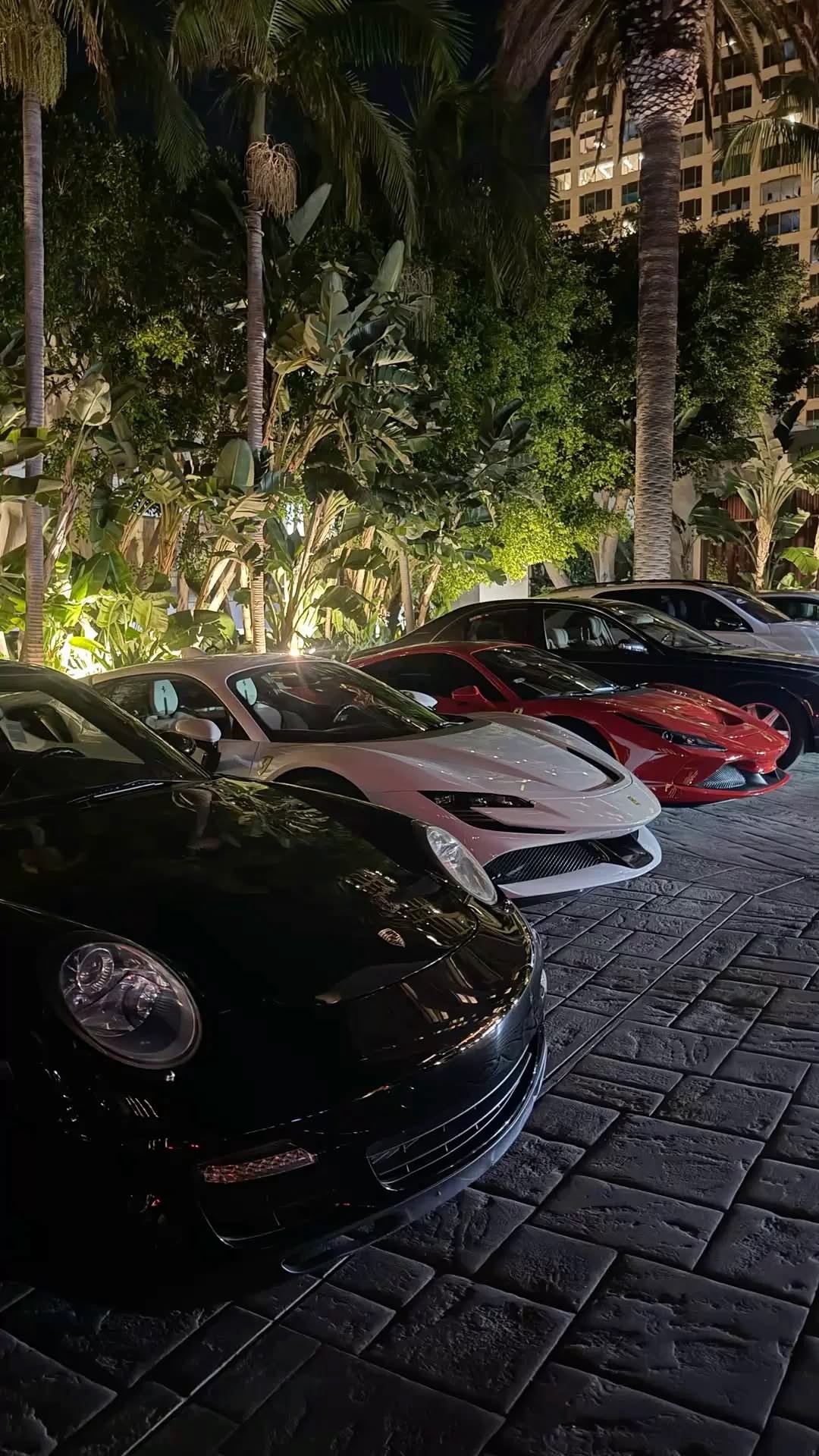Supercars parked under palms outside a residential tower
