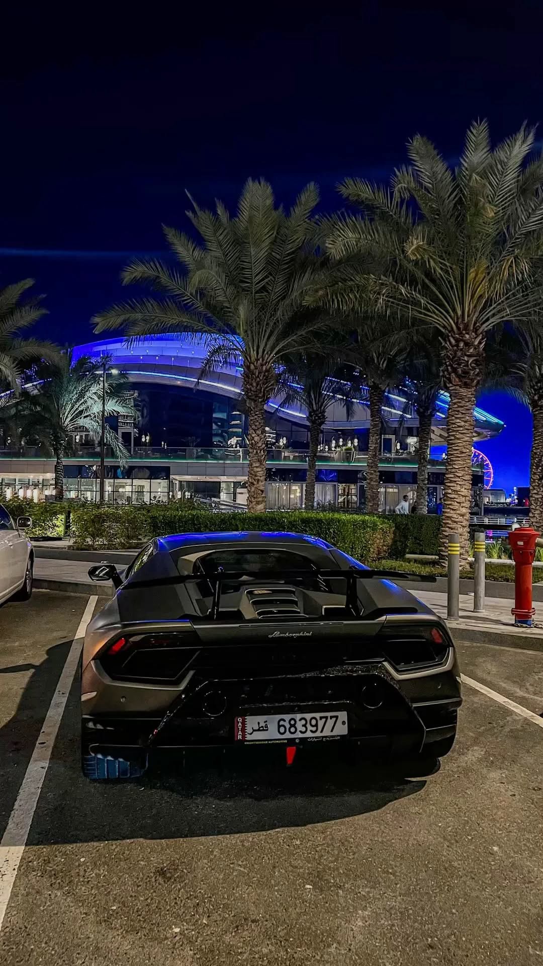 Rear of a matte supercar parked at a waterfront at night